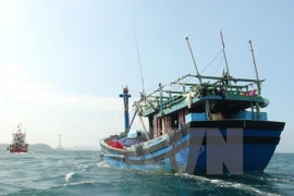 (Ảnh minh họa: Nguyên Lý/TTXVN)