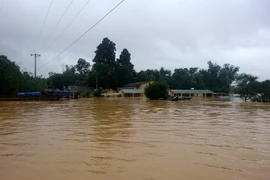 Sông Ngàn Sâu dâng cao, nhấn chìm nhiều ngôi nhà dân. (Ảnh: Việt Hoàng/Vietnam+)