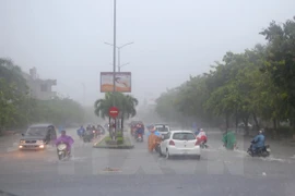 (Ảnh minh họa: Hồ Cầu/TTXVN)