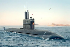 Ảnh minh họa. (Nguồn: Sputnik)