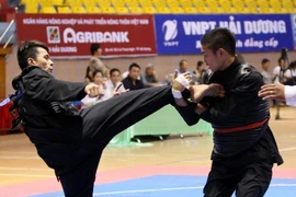 Bị gạt nhiều nội dung, Pencak Silat vẫn đạt chỉ tiêu