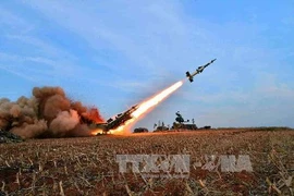 Triều Tiên phát triển bom xung điện từ để phá miền Nam