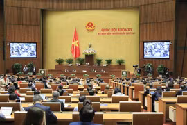 Quang cảnh phiên họp chiều 6/1. (Ảnh: Minh Đức/TTXVN)