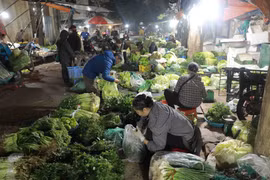 Nguồn cung thực phẩm ở chợ đầu mối Nam Hà Nội, quận Hoàng Mai khá dồi dào những ngày cận Tết. (Ảnh: Vũ Sinh/TTXVN)