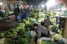 Nguồn cung thực phẩm ở chợ đầu mối Nam Hà Nội, quận Hoàng Mai khá dồi dào những ngày cận Tết. (Ảnh: Vũ Sinh/TTXVN)