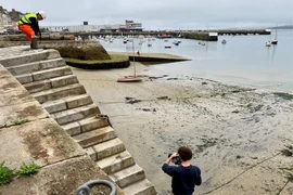 Lượng lớn hạt vi nhựa được tìm thấy trên bờ biển Brittany, Pháp. (Nguồn: preventingplasticpollution.com)