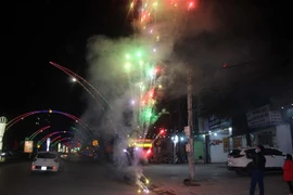 Người dân thành phố Thanh Hóa đốt pháo bông mừng năm mới. (Ảnh: Nguyễn Nam/TTXVN)