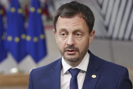 Thủ tướng Slovakia Eduard Heger. (Ảnh: AFP/TTXVN)