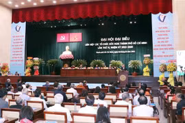Quang cảnh Đại hội. (Ảnh: Xuân Khu/TTXVN)
