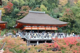 Khách du lịch tham quan Nhật Bản. (Ảnh: Đào Thanh Tùng/TTXVN)