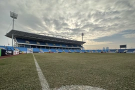 Cận cảnh mặt cỏ sân Mỹ Đình. (Ảnh: PV/Vietnam+)