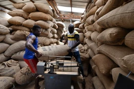 Kho chứa ca cao tại M'brimbo, Cotê d'Ivoire (Bờ Biển Ngà). (Ảnh: AFP/TTXVN)