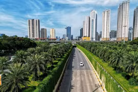 Cùng với mục tiêu của Chính phủ về việc trồng 1 tỷ cây xanh trong giai đoạn 2021-2025, thành phố Hà Nội đang nỗ lực trồng cây xanh nhằm cải thiện môi trường, vừa giúp giảm khói bụi, tiếng ồn, vừa nâng cao mỹ quan đô thị. (Ảnh: Tuấn Anh/TTXVN)