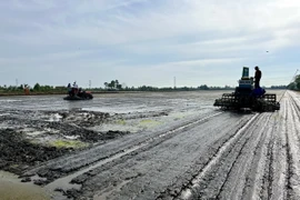 Mô hình thí điểm Đề án “Phát triển bền vững 1 triệu ha chuyên canh lúa chất lượng cao, phát thải thấp gắn với tăng trưởng xanh vùng Đồng bằng sông Cửu Long đến năm 2030.” (Ảnh: Đức Hạnh/TTXVN)