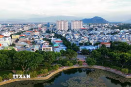 Ảnh minh họa. (Nguồn: TTXVN)