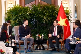 Chủ tịch Quốc hội Trần Thanh Mẫn tiếp Tổng giám đốc Sembcorp Development, kiêm Chủ tịch Hội đồng quản trị VSIP Group Lee Ark Boon. (Ảnh: Doãn Tấn/TTXVN)