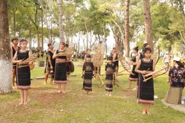 Biểu diễn nhạc cụ dân tộc của thiếu nhi nhỏ tuổi đến từ huyện Đăk Đoa, tỉnh Gia Lai. (Ảnh: Quang Thái/TTXVN)