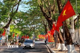 Cờ hoa rực rỡ trên đường phố Cà Mau. (Ảnh: Kim Há/TTXVN)