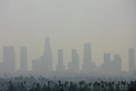 Ô nhiễm không khí tại Los Angeles, Mỹ. (Ảnh: AFP/TTXVN)