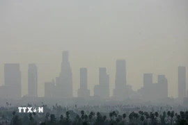 Ô nhiễm không khí tại Los Angeles, Mỹ. (Ảnh: AFP/TTXVN)