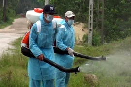 Hà Tĩnh: Đã khống chế thành công dịch sốt xuất huyết