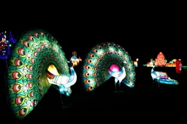 [Photo] Lung linh lễ hội đèn lồng Trung Hoa tại nước Anh