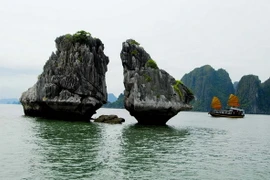 [Photo] Cảnh đẹp kỳ thú của di sản thiên nhiên thế giới Vịnh Hạ Long