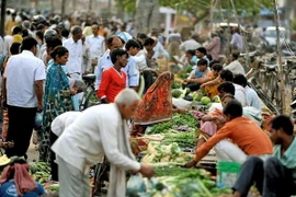 Ấn Độ: Lạm phát xuống mức thấp nhất trong vòng hơn 5 năm