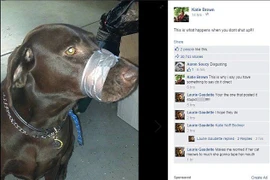 Chú chó đáng thương. (Nguồn: Facebook)