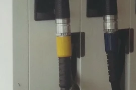 Con rắn xuất hiện ở trạm bơm xăng. (Nguồn: Daily Mail)