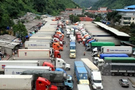 Ảnh minh họa. (Ảnh: Thái Thuần/TTXVN)