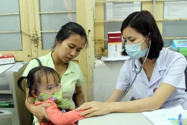 (Ảnh minh họa. Tá Chuyên/TTXVN)