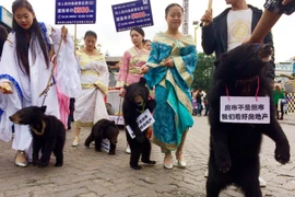 Hình ảnh gây phản cảm của một công ty phát triển bất động sản ở thành phố Trùng Khánh. (Nguồn: CCTV)