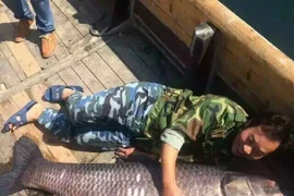 Con cá trắm đen khổng lồ. (Nguồn: CCTV)