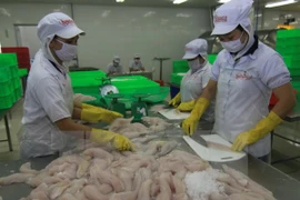 Ảnh minh họa. (Nguồn: TTXVN)