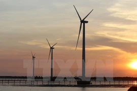 (Ảnh minh họa: Duy Khương/TTXVN)