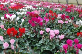 Lãnh đạo hai bên tham gia ký kết. (Nguồn: Techcombank)