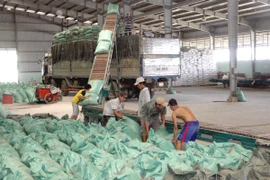 VietABank dành 500 tỷ đồng cho vay thu mua tạm trữ lúa gạo 