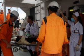 Ảnh chỉ có tính minh họa. (Ảnh: Đoàn Mạnh Dương/TTXVN)