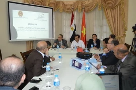 Quang cảnh buổi hội thảo. (Ảnh: Nguyễn Trường/Vietnam+)