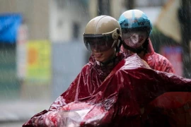 Ảnh chỉ có tính minh họa. (Ảnh: Lê Minh Sơn/Vietnam+)