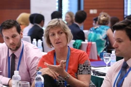 Đại biểu đại diện các nền kinh tế thảo luận nhóm tại hội thảo. (Ảnh: Phương Hoa/TTXVN)