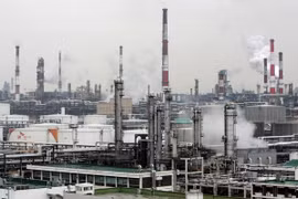 Ảnh chỉ có tính minh họa. (Nguồn: ecodaily.org)