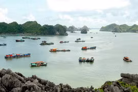 Tàu thuyền neo đậu trên vịnh Lan Hạ thuộc thị trấn Cát Bà. (Ảnh: Quang Quyết/TTXVN)