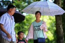 Ảnh chỉ có tính minh họa. (Ảnh: Quang Quyết/TTXVN)