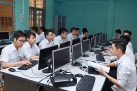 Ảnh chỉ có tính minh họa. (Ảnh: Quý Trung/TTXVN)