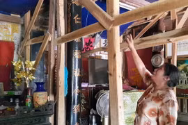 Ngôi nhà cổ loại 1 có niên đại 200 năm của gia đình ông Nguyễn Huy Chưởng, xóm Đình, thôn Đông Sàng, xã Đường Lâm. (Ảnh: Đinh Thuận/TTXVN)