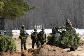 Binh sỹ Estonia tham gia một cuộc tập trận ở Sonda, Đông Bắc Estonia. (Nguồn: THX/TTXVN)