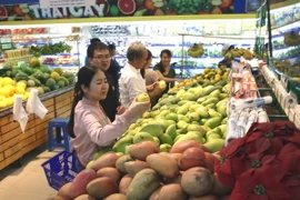 Ảnh chỉ có tính minh họa. (Ảnh: Vũ Sinh/TTXVN)