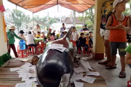 Người dân tiến hành nghi thức an táng cho cá voi. (Ảnh: Phước Ngọc/TTXVN)